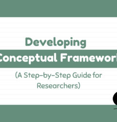 developing conceptual framework