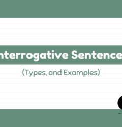 interrogative sentence. it's types and examples