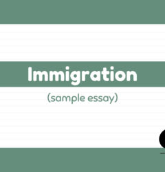 sample essay on immigration