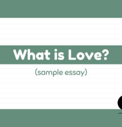 sample essay on love
