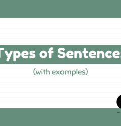 types of sentences in english with examples